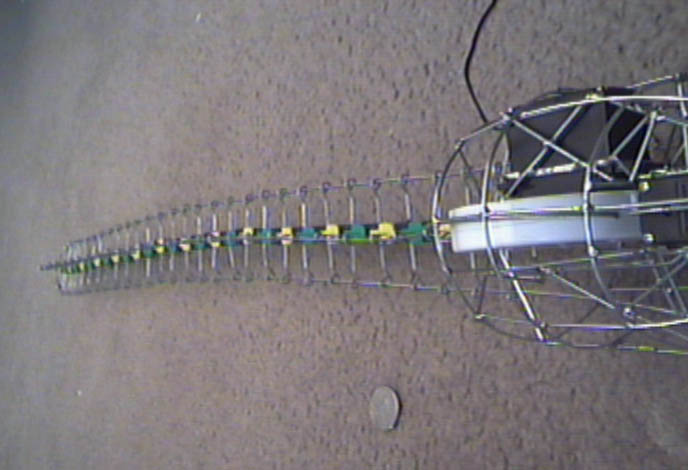tail09