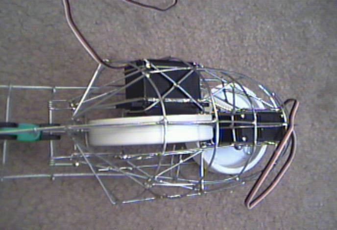 tail10