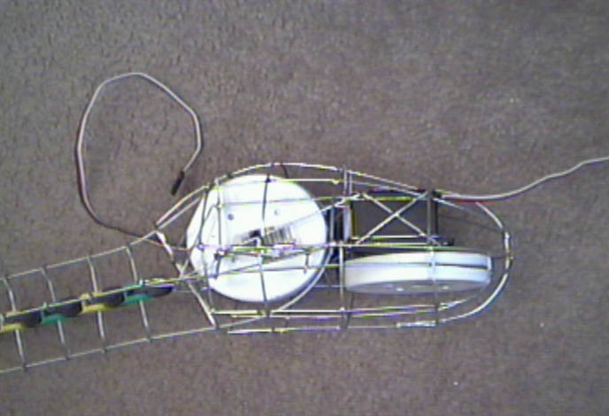tail11