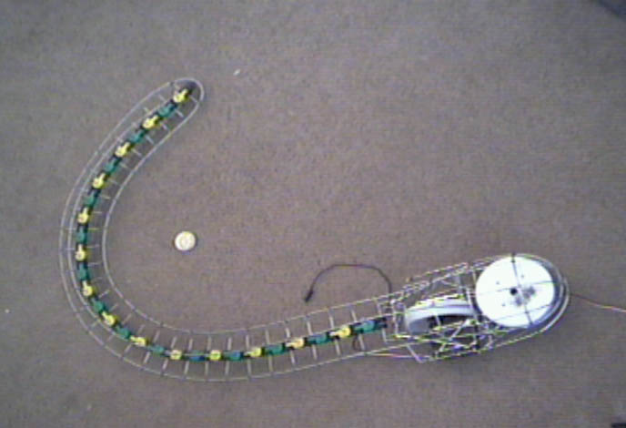 tail15